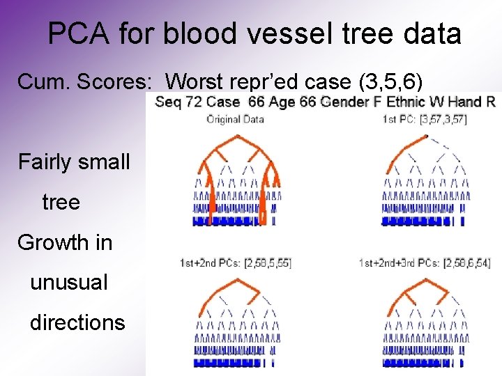 PCA for blood vessel tree data Cum. Scores: Worst repr’ed case (3, 5, 6)