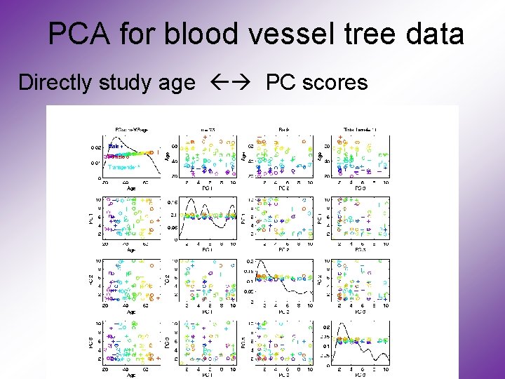 PCA for blood vessel tree data Directly study age PC scores 