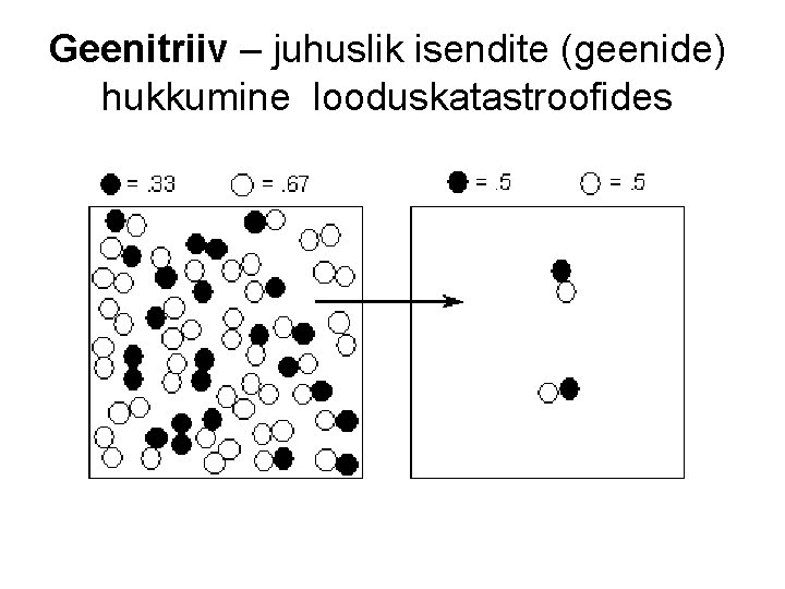 Geenitriiv – juhuslik isendite (geenide) hukkumine looduskatastroofides 