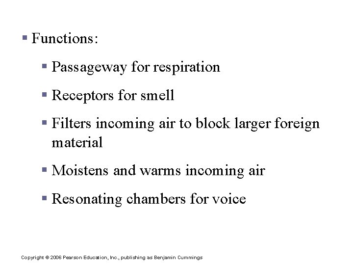 Upper Respiratory Tract § Functions: § Passageway for respiration § Receptors for smell §