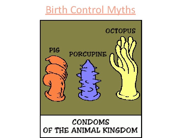 Birth Control Myths Birth Control Myths
