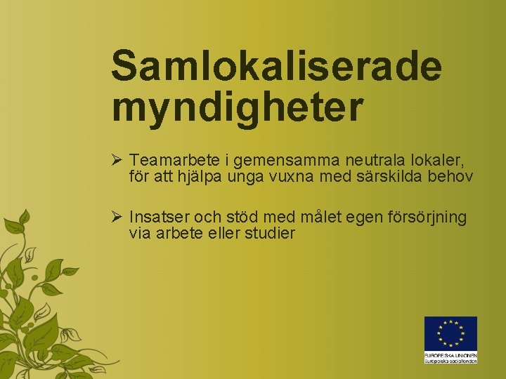 Samlokaliserade myndigheter Ø Teamarbete i gemensamma neutrala lokaler, för att hjälpa unga vuxna med