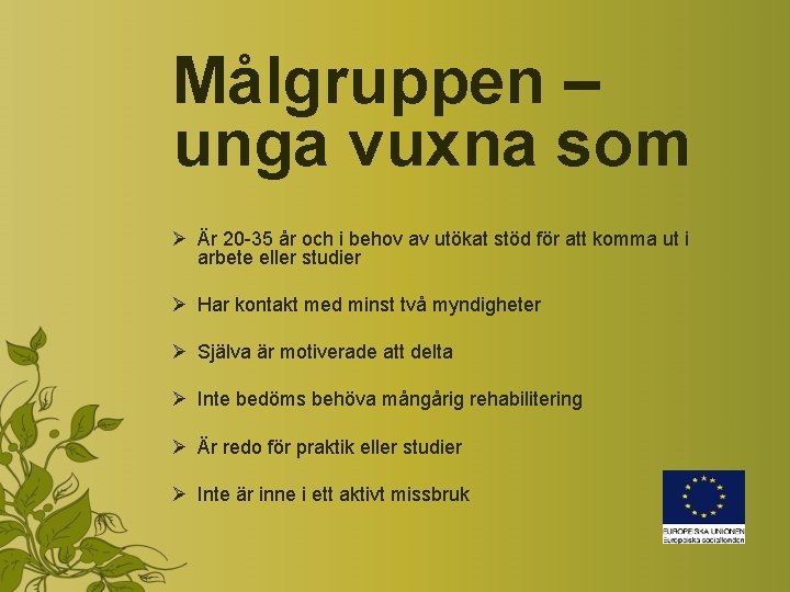 Målgruppen – unga vuxna som Ø Är 20 -35 år och i behov av