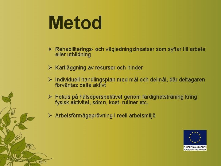 Metod Ø Rehabiliterings- och vägledningsinsatser som syftar till arbete eller utbildning Ø Kartläggning av