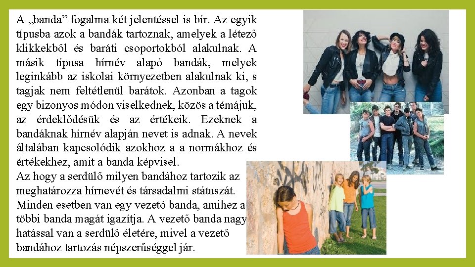 A „banda” fogalma két jelentéssel is bír. Az egyik típusba azok a bandák tartoznak,