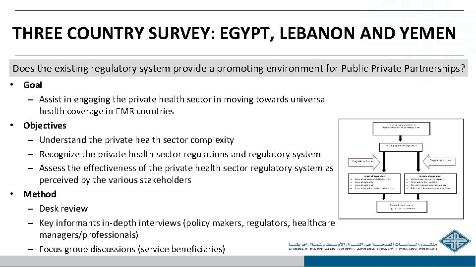 THREE COUNTRY SURVEY: EGYPT, LEBANON AND YEMEN Does the existing regulatory system provide a