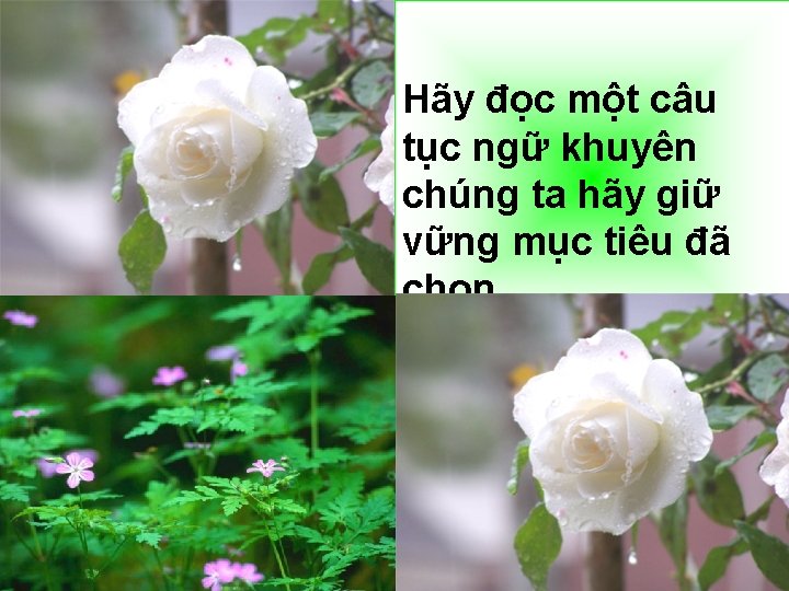 Hãy đọc một câu tục ngữ khuyên chúng ta hãy giữ vững mục tiêu