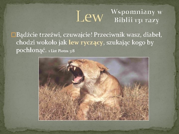 Lew Wspomniany w Biblii 131 razy �Bądźcie trzeźwi, czuwajcie! Przeciwnik wasz, diabeł, chodzi wokoło