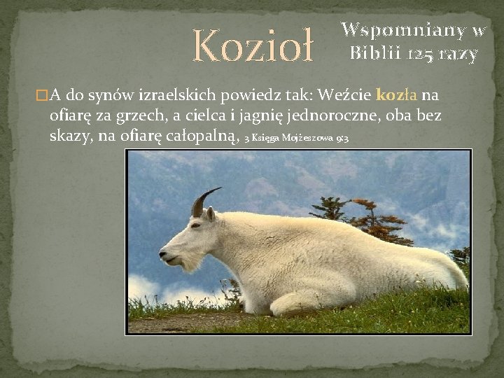 Kozioł Wspomniany w Biblii 125 razy � A do synów izraelskich powiedz tak: Weźcie