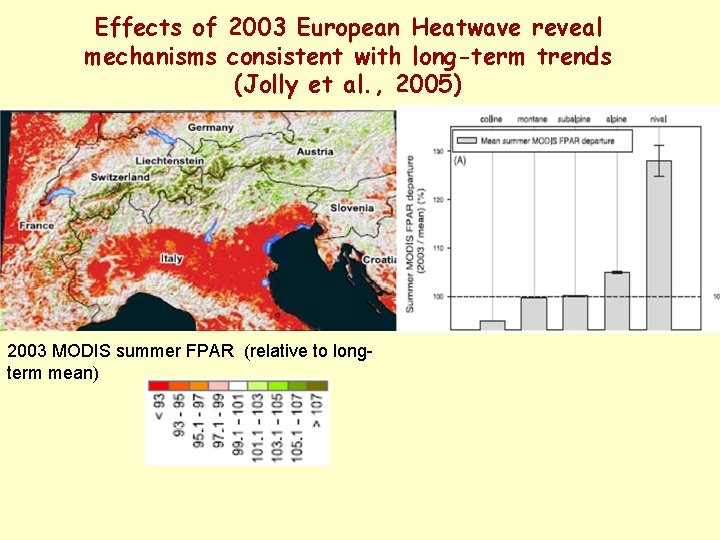 Effects of 2003 European Heatwave reveal mechanisms consistent with long-term trends (Jolly et al.