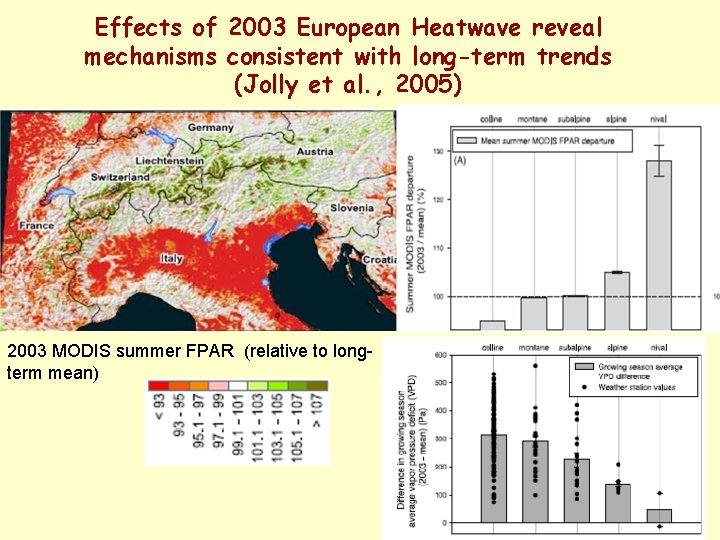 Effects of 2003 European Heatwave reveal mechanisms consistent with long-term trends (Jolly et al.