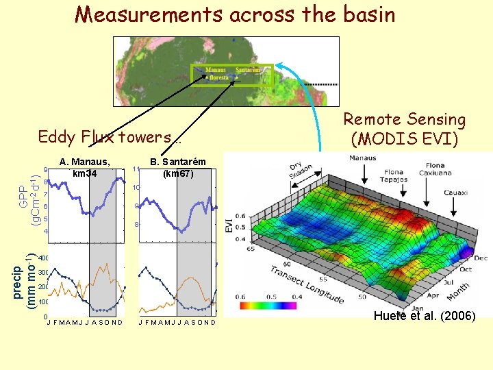 Measurements across the basin Remote Sensing (MODIS EVI) Eddy Flux towers… GPP (g. Cm-2