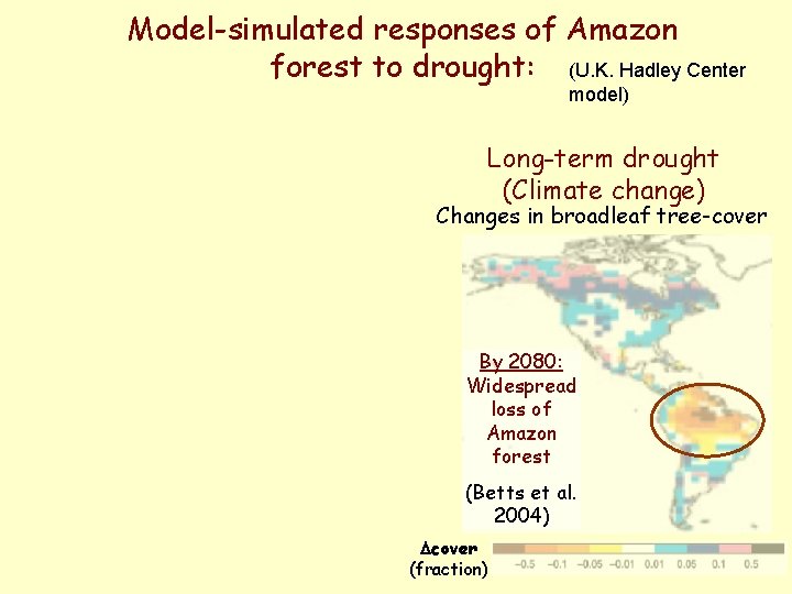 Model-simulated responses of Amazon forest to drought: (U. K. Hadley Center model) Long-term drought