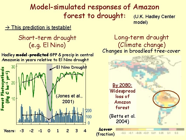 Model-simulated responses of Amazon forest to drought: (U. K. Hadley Center model) This prediction