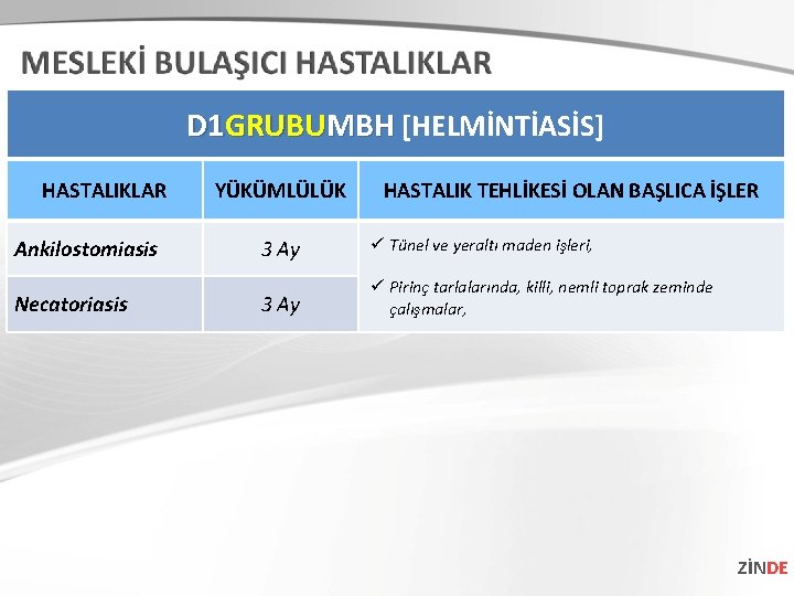 D 1 GRUBUMBH [HELMİNTİASİS] HASTALIKLAR Ankilostomiasis Necatoriasis YÜKÜMLÜLÜK HASTALIK TEHLİKESİ OLAN BAŞLICA İŞLER 3