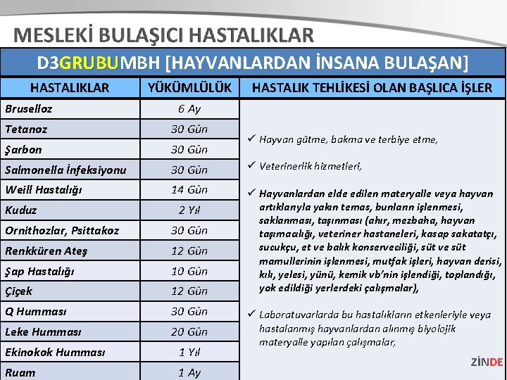 D 3 GRUBUMBH [HAYVANLARDAN İNSANA BULAŞAN] HASTALIKLAR YÜKÜMLÜLÜK HASTALIK TEHLİKESİ OLAN BAŞLICA İŞLER Bruselloz