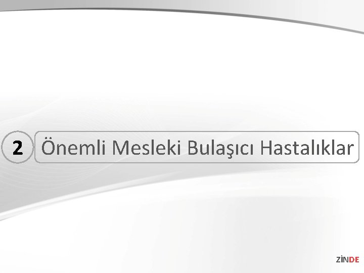 2 Önemli Mesleki Bulaşıcı Hastalıklar ZİNDE 