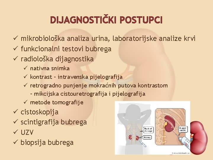 DIJAGNOSTIČKI POSTUPCI ü mikrobiološka analiza urina, laboratorijske analize krvi ü funkcionalni testovi bubrega ü
