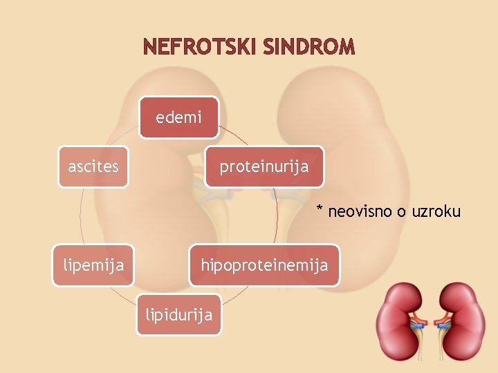 NEFROTSKI SINDROM edemi ascites proteinurija * neovisno o uzroku lipemija hipoproteinemija lipidurija 