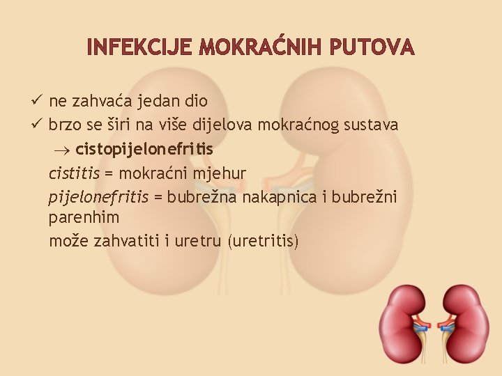 INFEKCIJE MOKRAĆNIH PUTOVA ü ne zahvaća jedan dio ü brzo se širi na više