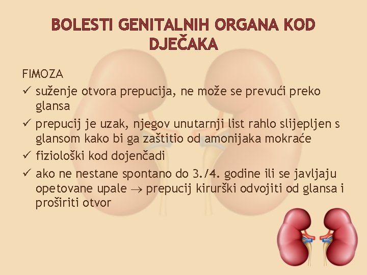 BOLESTI GENITALNIH ORGANA KOD DJEČAKA FIMOZA ü suženje otvora prepucija, ne može se prevući