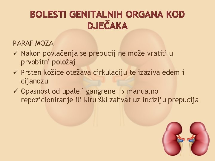 BOLESTI GENITALNIH ORGANA KOD DJEČAKA PARAFIMOZA ü Nakon povlačenja se prepucij ne može vratiti