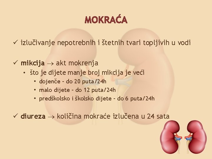 MOKRAĆA ü izlučivanje nepotrebnih i štetnih tvari topljivih u vodi ü mikcija akt mokrenja