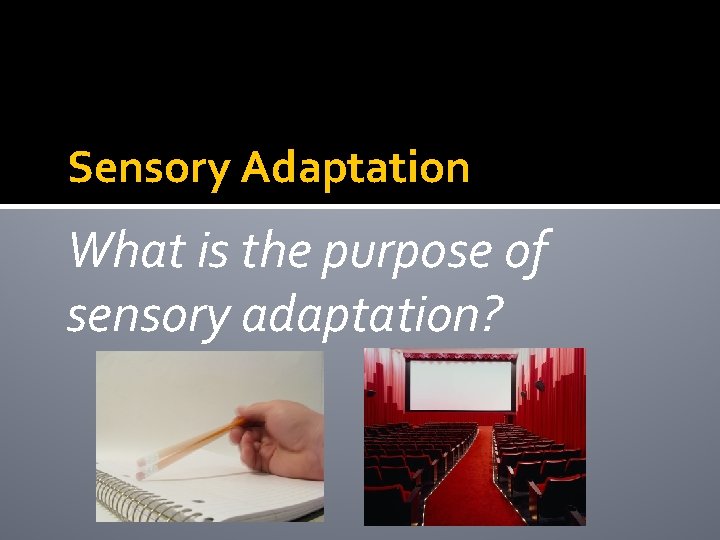 Sensory Adaptation What is the purpose of sensory adaptation? 