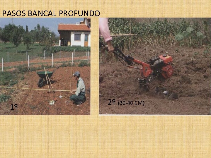 PASOS BANCAL PROFUNDO 1º 2º (30 -40 CM) 