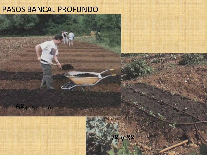 PASOS BANCAL PROFUNDO 6º (0. 5 - 2 cm) 7º y 8º 