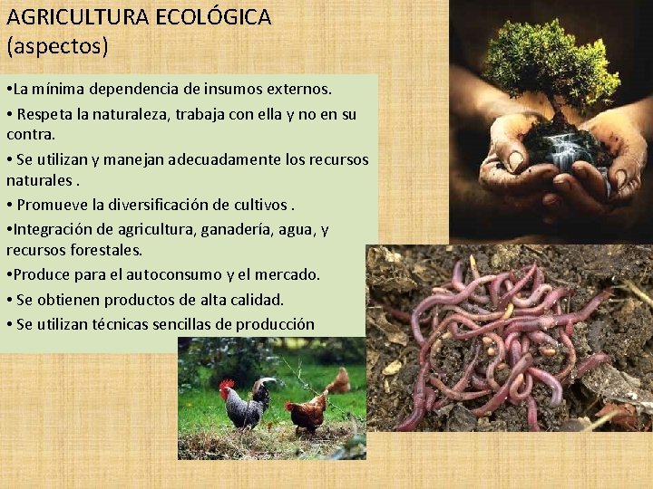AGRICULTURA ECOLÓGICA (aspectos) • La mínima dependencia de insumos externos. • Respeta la naturaleza,