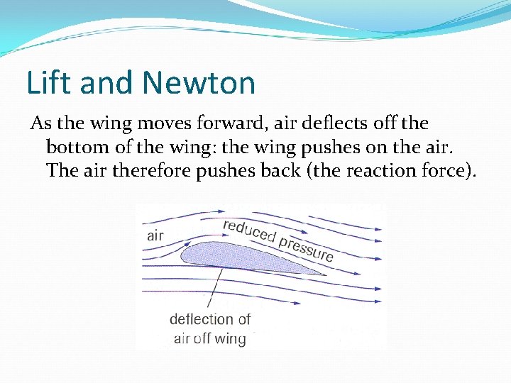 Lift and Newton As the wing moves forward, air deflects off the bottom of