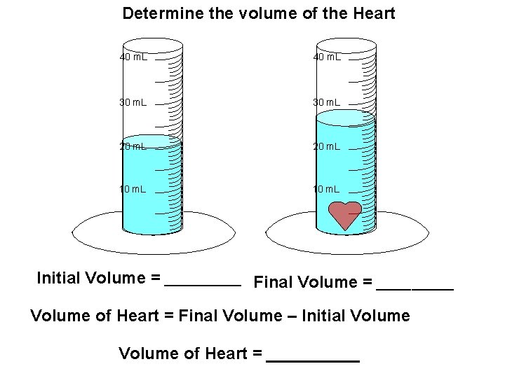 Determine the volume of the Heart 40 m. L 30 m. L 20 m.