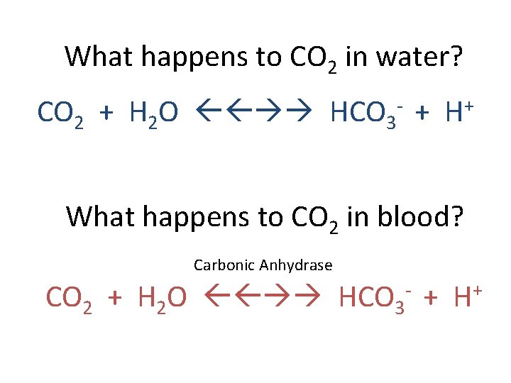 What happens to CO 2 in water? CO 2 + H 2 O HCO
