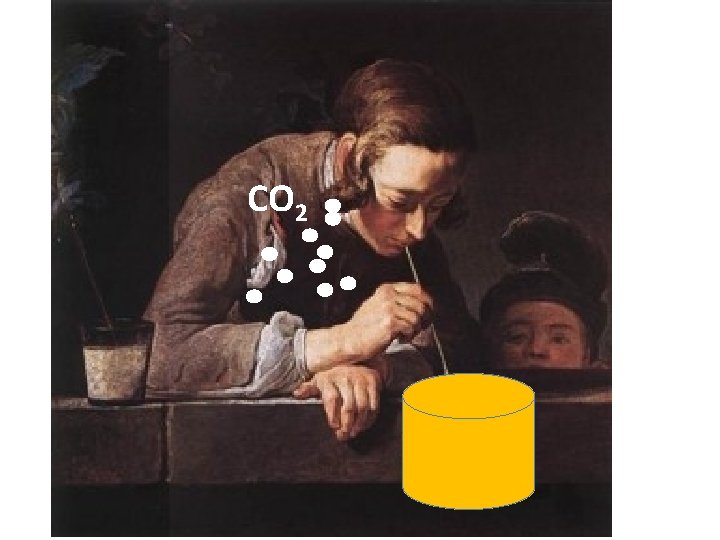 CO 2 