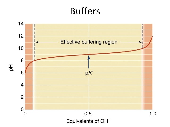 Buffers 