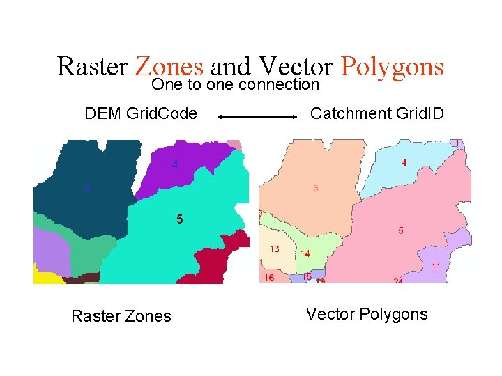 Raster Zones and Vector Polygons One to one connection DEM Grid. Code Catchment Grid.