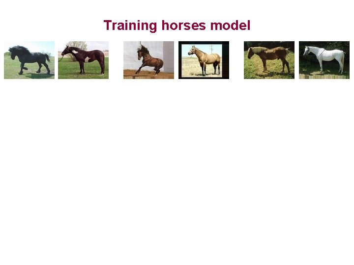 Training horses model 