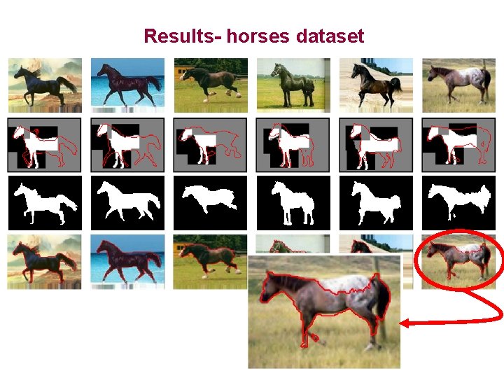 Results- horses dataset 