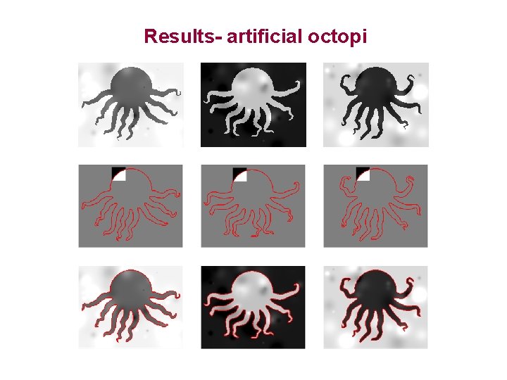 Results- artificial octopi 