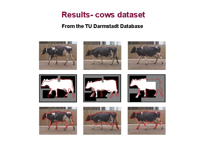 Results- cows dataset From the TU Darmstadt Database 