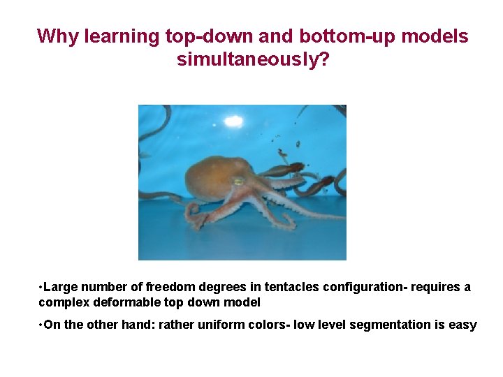 Why learning top-down and bottom-up models simultaneously? • Large number of freedom degrees in