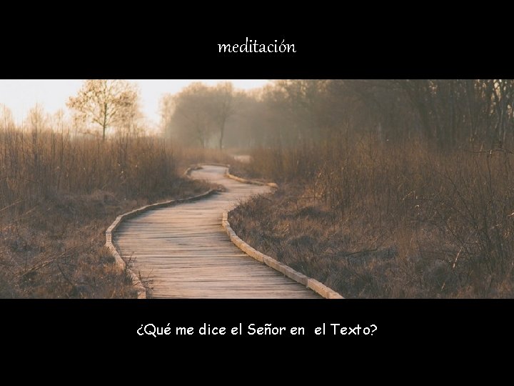 meditación ¿Qué me dice el Señor en el Texto? 