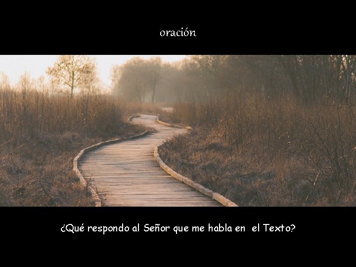 oración ¿Qué respondo al Señor que me habla en el Texto? 