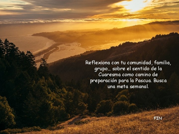 Reflexiona con tu comunidad, familia, grupo… sobre el sentido de la Cuaresma como camino