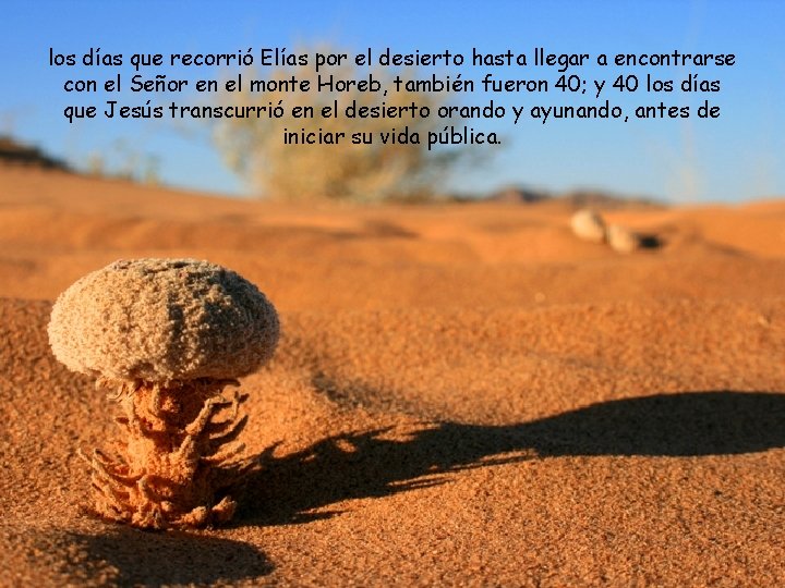 los días que recorrió Elías por el desierto hasta llegar a encontrarse con el