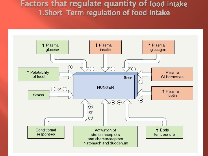 Factors that regulate quantity of food intake 1. Short-Term regulation of food intake 