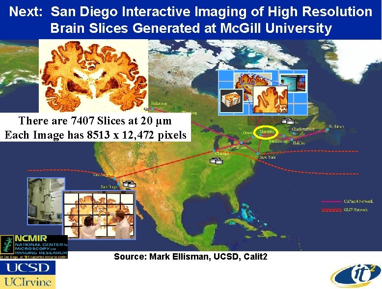 Next: San Diego Interactive Imaging of High Resolution Brain Slices Generated at Mc. Gill