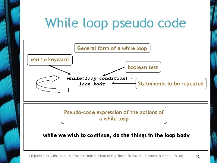 While loop pseudo code General form of a while loop while keyword boolean test