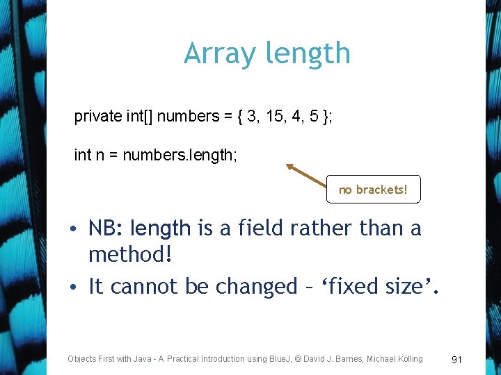 Array length private int[] numbers = { 3, 15, 4, 5 }; int n